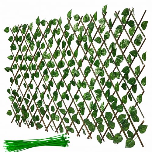 Celosias para Terraza Exterior Extensible 1x2m de Madera con Hojas – Decorativa, Resistente y Versátil – para Jardín, Balcón y Terrazas – hasta 3m x 0,60m + Bridas (Pothus)