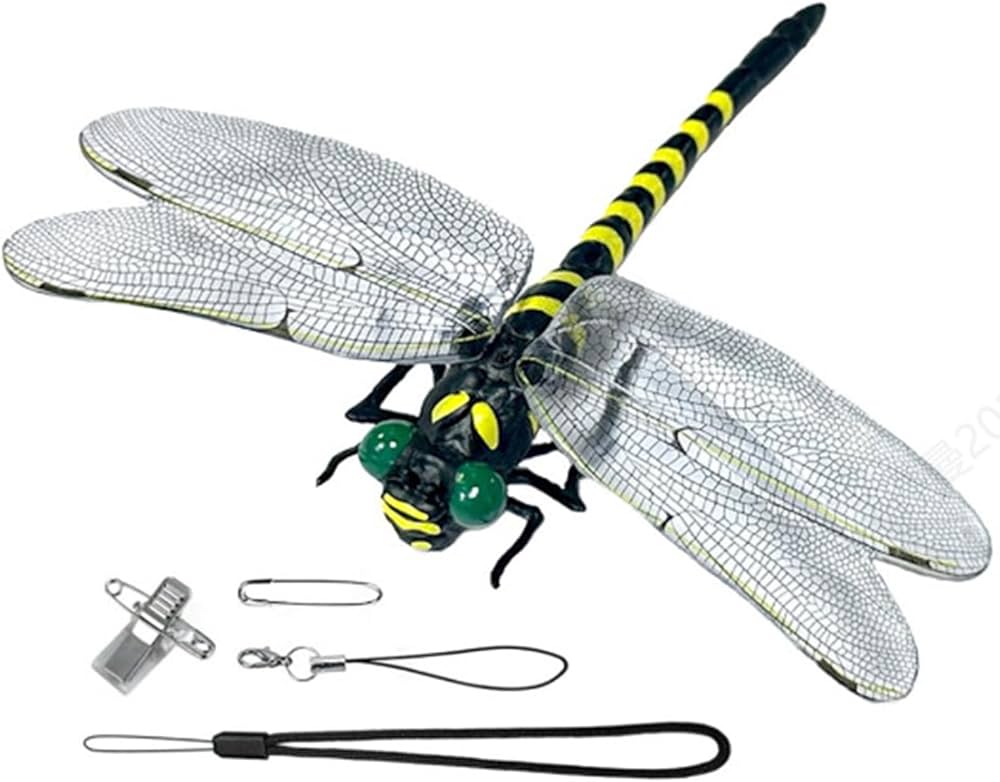 目にトンボが刺さった置物 目にトンボが刺さった置物 目にトンボが刺さった置物 614bDCbQBqL