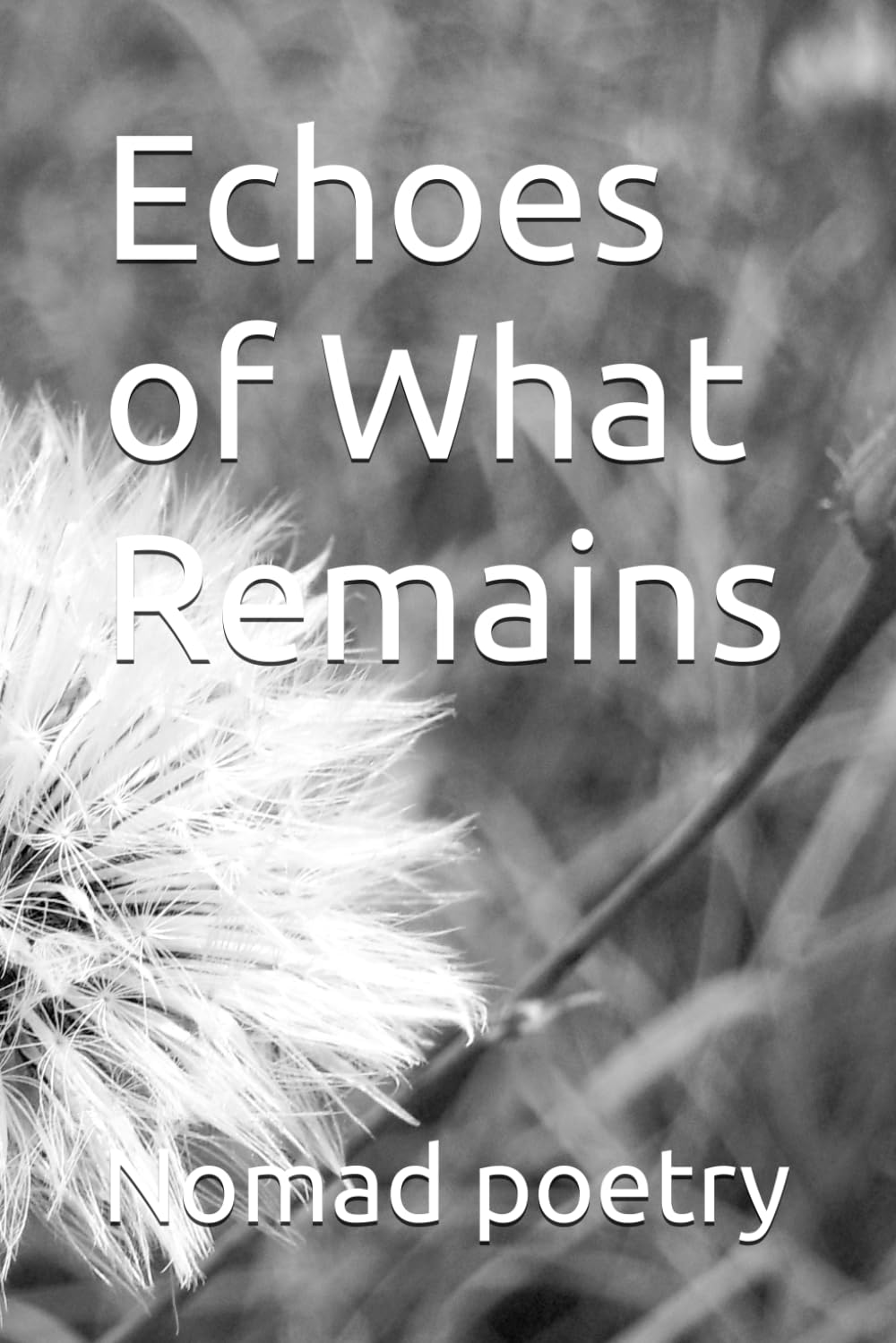 Echoes of What Remains