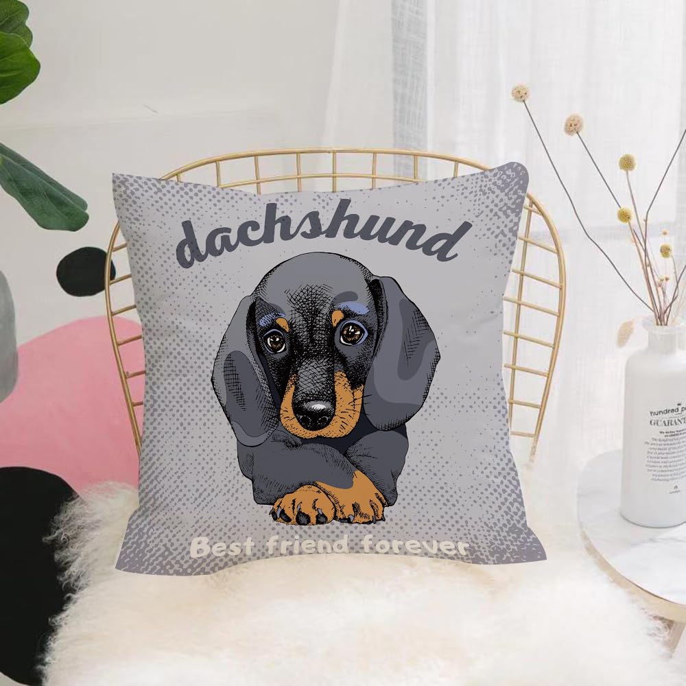 HYOSXW Cushion Cover,Throw Pillow Case Home Decorative for Living Room Bedroom Sofa Chair 16X16 Inch,P with portrait of a dog Dachshund. Vector illustration.,Pillowcase 40X40cm