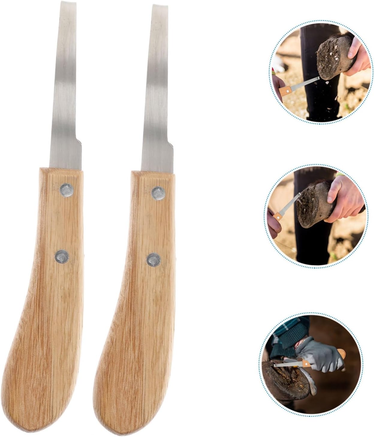 Mipcase 2pcs Stainless Steel Horseshoe Files for Hoof Trimming Ergonomic Portable Horse Cattle Cutting Tools Efficient Hoof Care for Optimal Riding