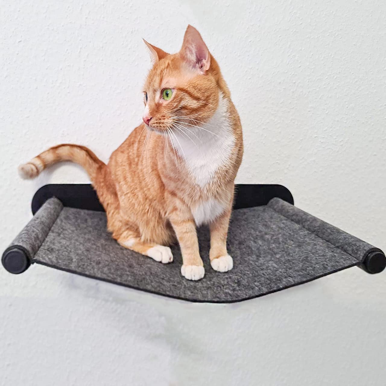 CanadianCat Company | Katzenhängematte aus Filz mit Wandmontage | ca. 65 x 35 x 10 cm | Anthrazit | Kletterwand Liegemulde Wandliege Katzenbett aus Filz