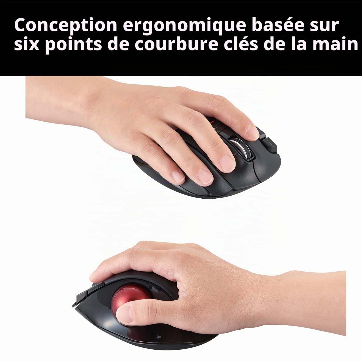 ELECOM EX-G Souris trackball USB 2,4 GHz sans Fil, Design Ergonomique, contrôle par Le Pouce, Balle de Suivi Fluide et précise, 6 Boutons programmables, défilement d'inclinaison, Souris d'ordinateur
