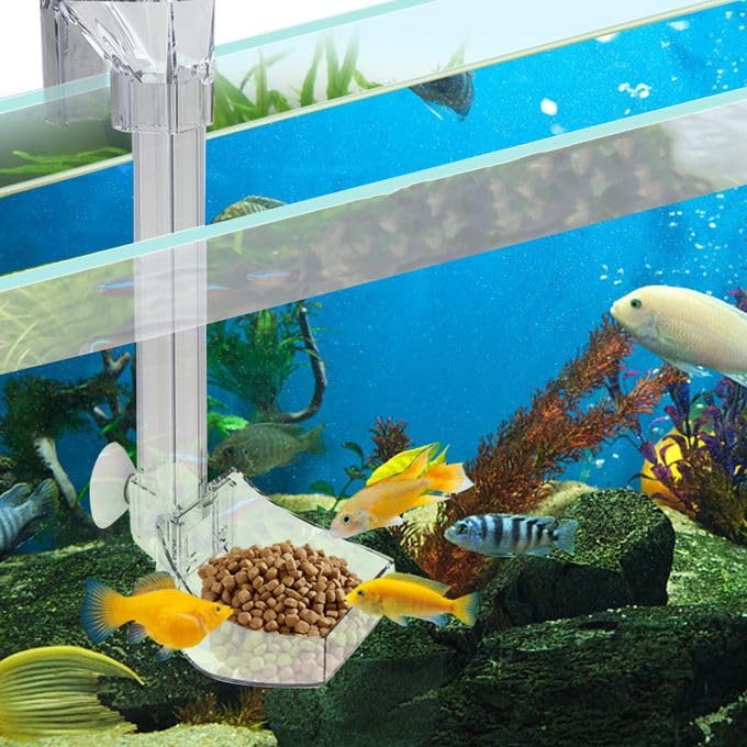 VAYINATO® Clear Acrylic Fixed Point Hanging Fish Food Feeding Tube for Aquarium Fish Tank | Suitable for Bottom Feeder Fish and Shrimp (29 CM) By Petzlifeworld 4