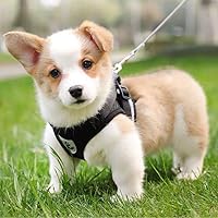 Vista 6 de FEimaX Juego de arnés y correa para perro, malla suave ajustable, de fácil control, chaleco ligero para gatos con tiras reflectantes, a prueba