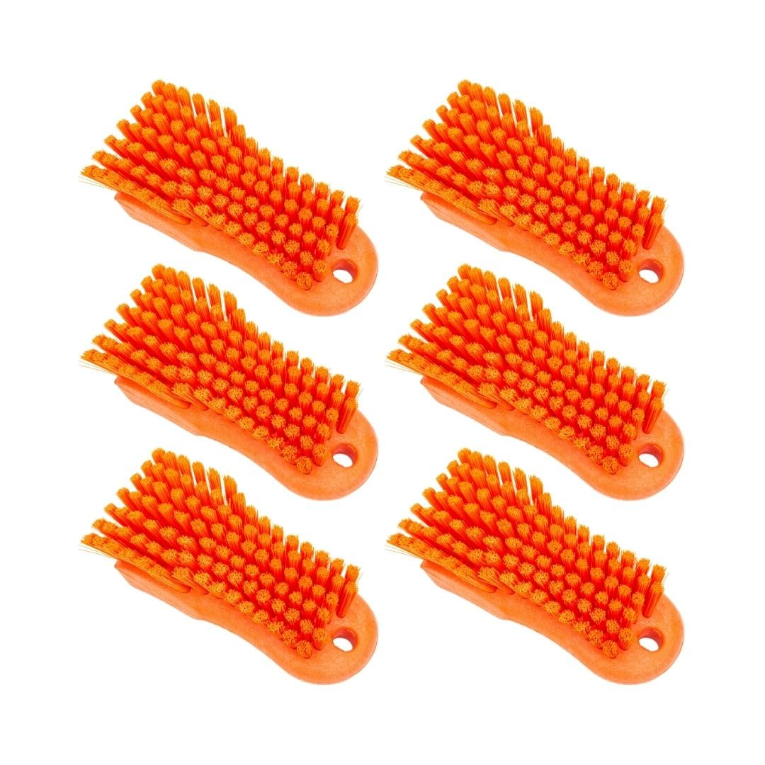 SPARTA Orange / 6 / Pack of 6 Brushes