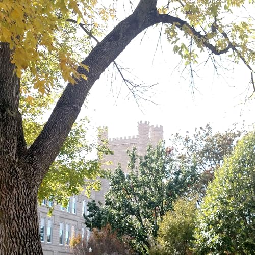 Professing Christians cover art