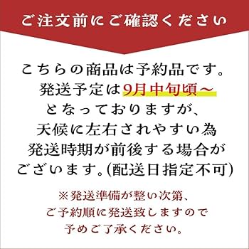 MEGUMI様　生栗　3キロ すき生栗3kg （3Lサイズ）宮崎県小林市須木産特選品 | みのり農園
