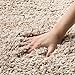 SAFAVIEH California Shag Collection X-Large Area Rug - 11' x 15', Beige, Non-Shedding & Easy Care, 2-inch Thick Ideal for High Traffic Areas in Living Room, Bedroom (SG151-1313)