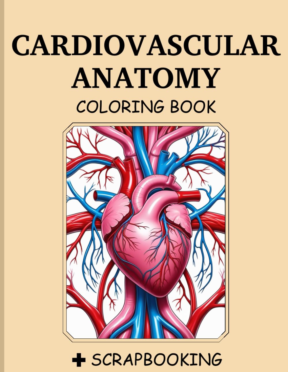 cardiovascular anatomy coloring book: Detailed Human Cardiovascular Anatomy Coloring Pages for Adult Creativity