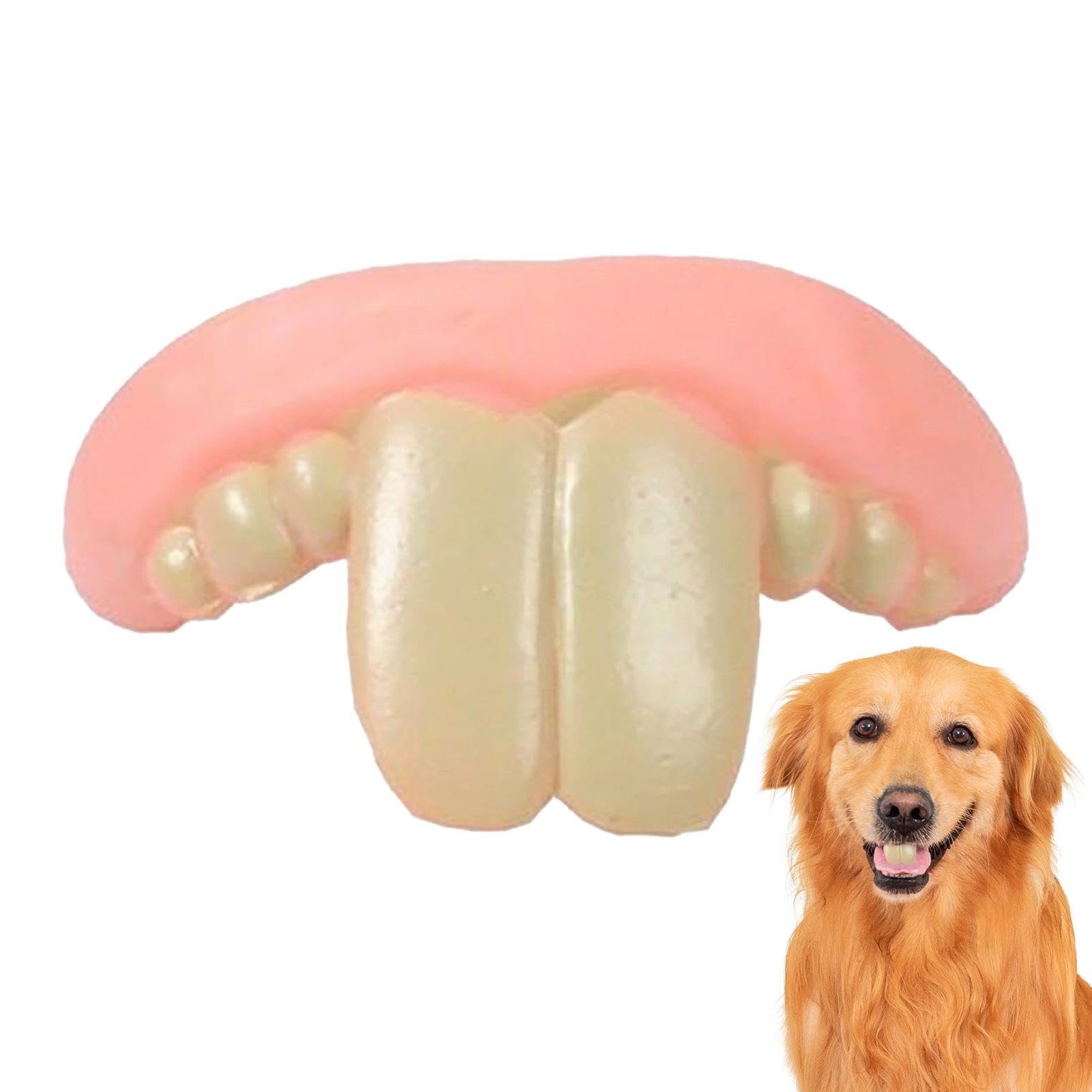 Fake Teeth For Dogs | Ugly False Teeth | Dog Buckk Teeth | Funny Fake Teeth For Dogs | Dog Teeth Braces | Dentures For Dogs | Funny Dog Teeth Braces | Dog Silicone Fake Teeth Toy