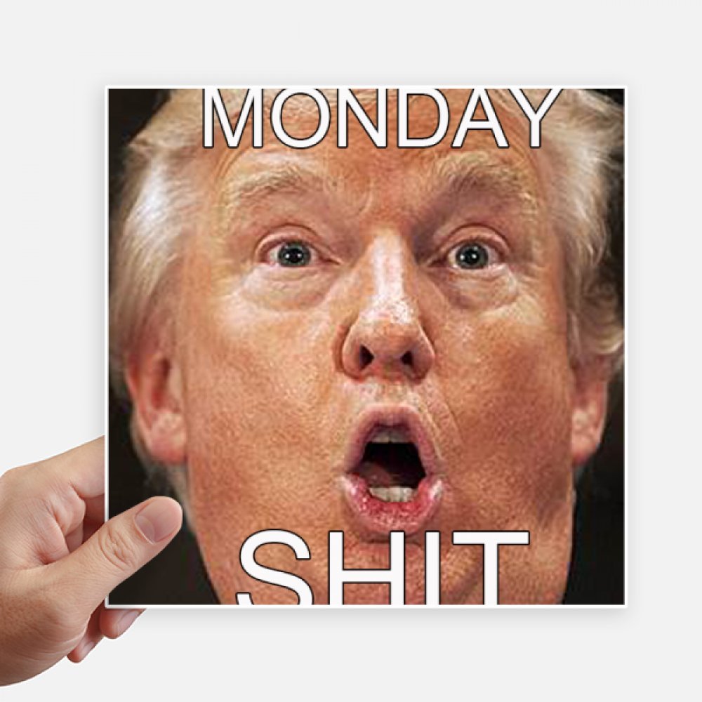 Autocollant carré de 20 cm Trump américain drôle pour mur et PC portable