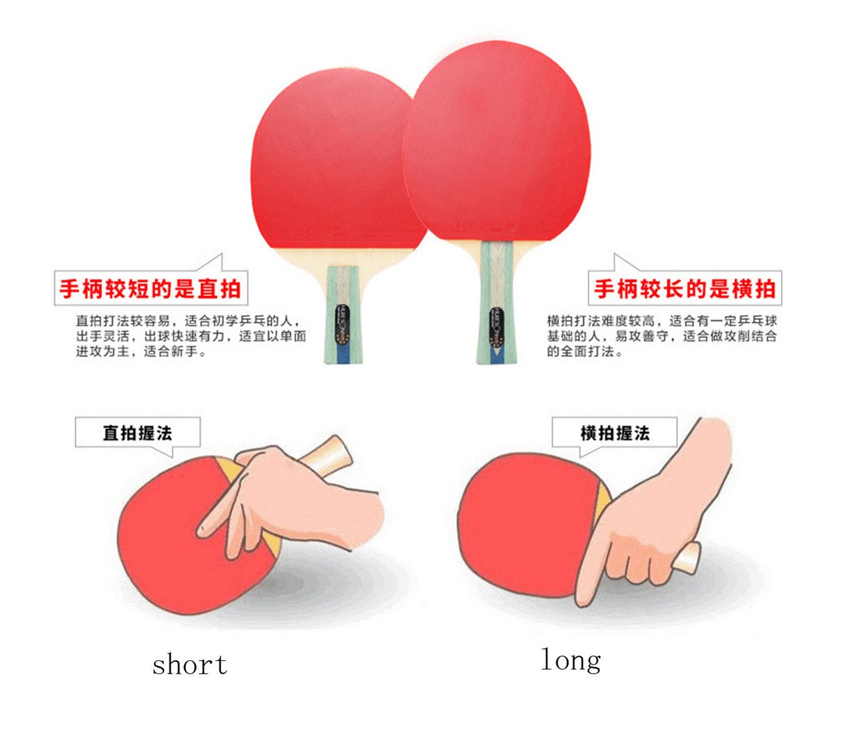 Racchetta da Ping Pong a 6 Stelle, Allenamento Professionale, Anti-Colla, Ala di Pollo, in Legno, Racchetta da Ping Pong, Racchetta da Ping Pong, Racchetta Corta/1