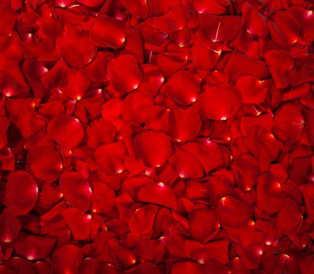 THE TWIDDLERS - 2000 Scentless Silk Red Rose Petals - Fake Flowers for Valentine's Day, Romantic Wedding Decorations