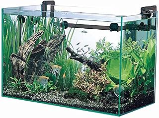 Amazon Co Jp 60cm水槽セット