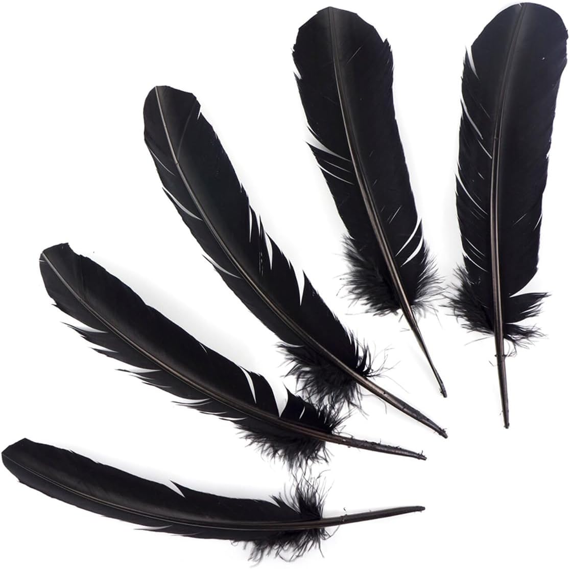 Feathers for Crafting 10-12 inches 24pcs Natural Black Big Turkey Feather Bulk for Craft DIY Crafts, Angel Wings, Dream Catcher and Wedding Party Decorations (Black) - 5