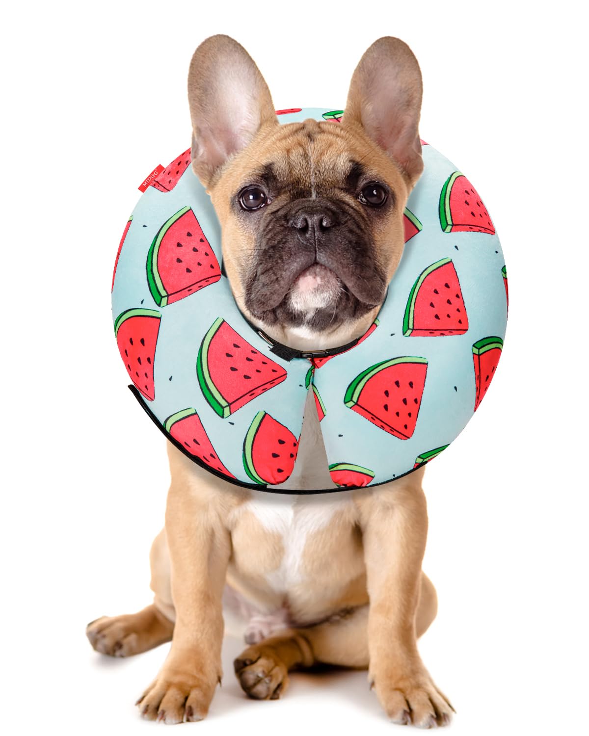 MIDOG Inflatable Dog Cone, Soft Donut Recovery Collar, ‌Melon, Medium