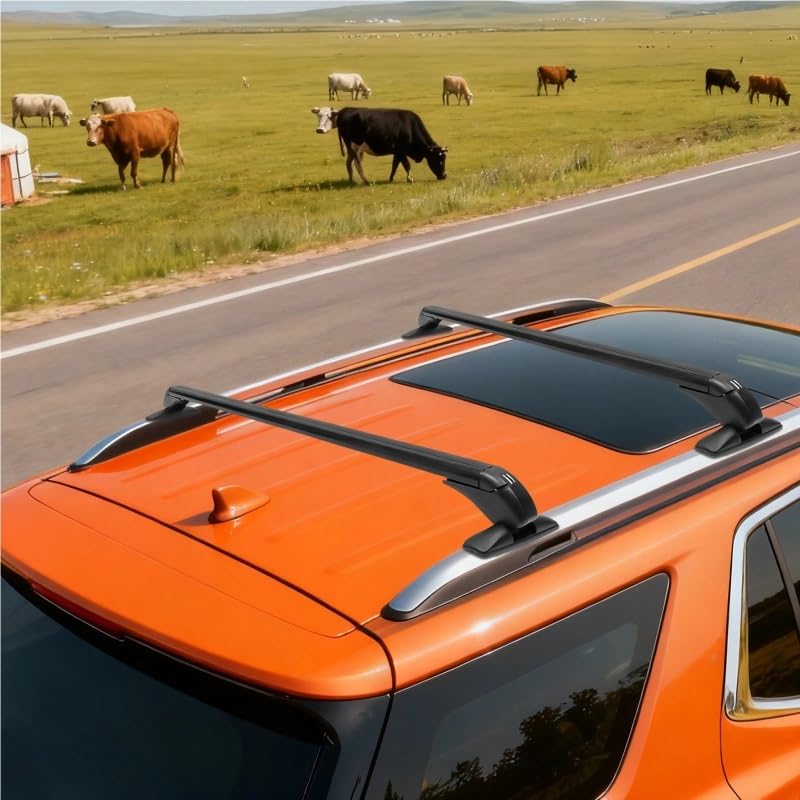 Baca de techo portaequipajes universal barra transversal coche 39 pulgadas con llave 6