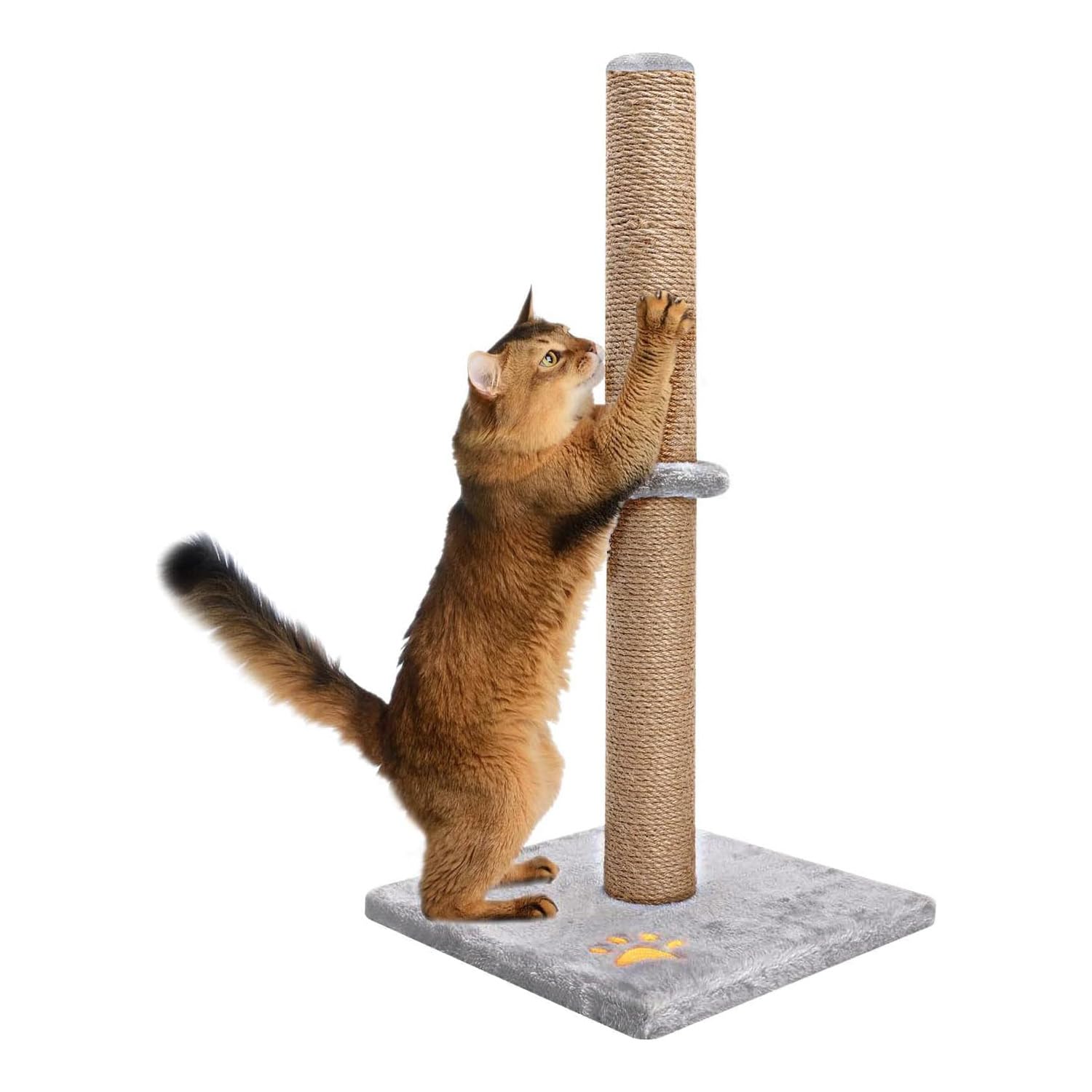 Supernic Cat Scratching Post 24.8" 2-Tier Sisal Pole Cat Tree Cats Pet Climbing Resting Activity Tower with a Soft Plush Carpet Covered Heavy Base for Kittens and Adult Cats(Grey)