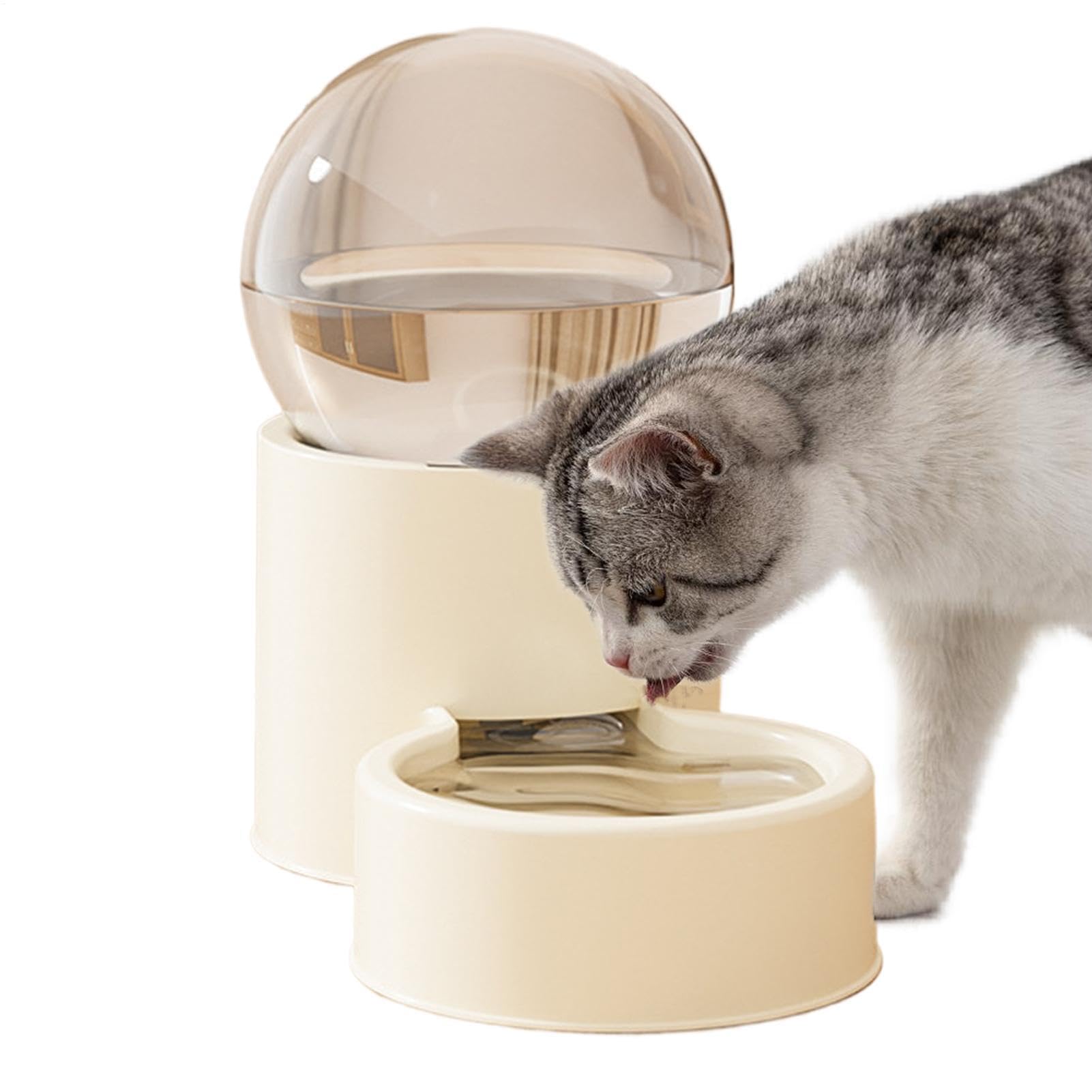 Distributeur automatique de croquettes pour chat : fini le réveil à l'aube pour les repas