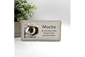 Guinea Pig Memorial Stone with Photo Real Stone Personalized by Florida-Funshine