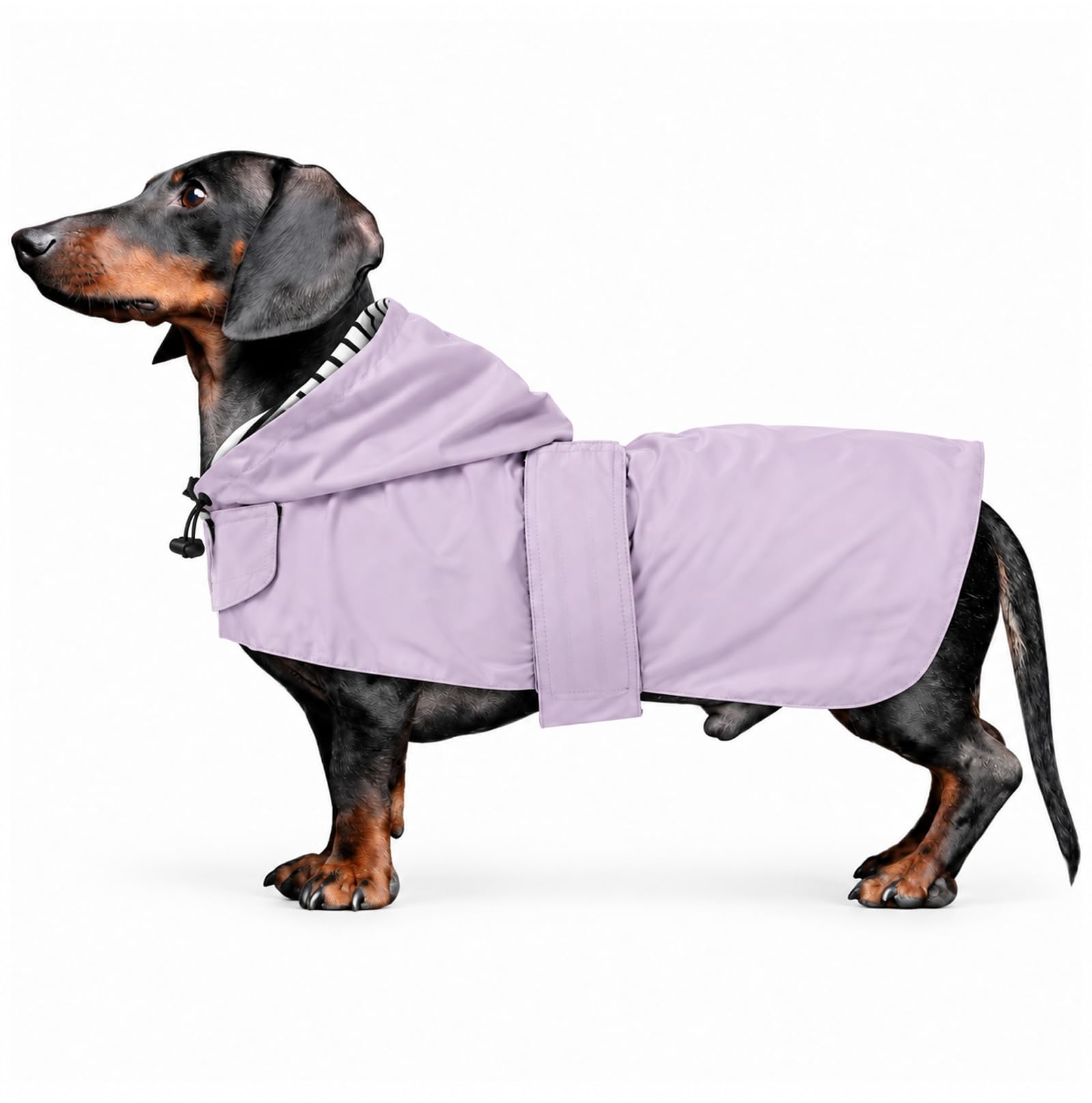 Morezi Dachshund coat miniature dachshund coats fit for dachshunds sausage dog rain coat with hoodie hook and loop closure great coverage Purple S