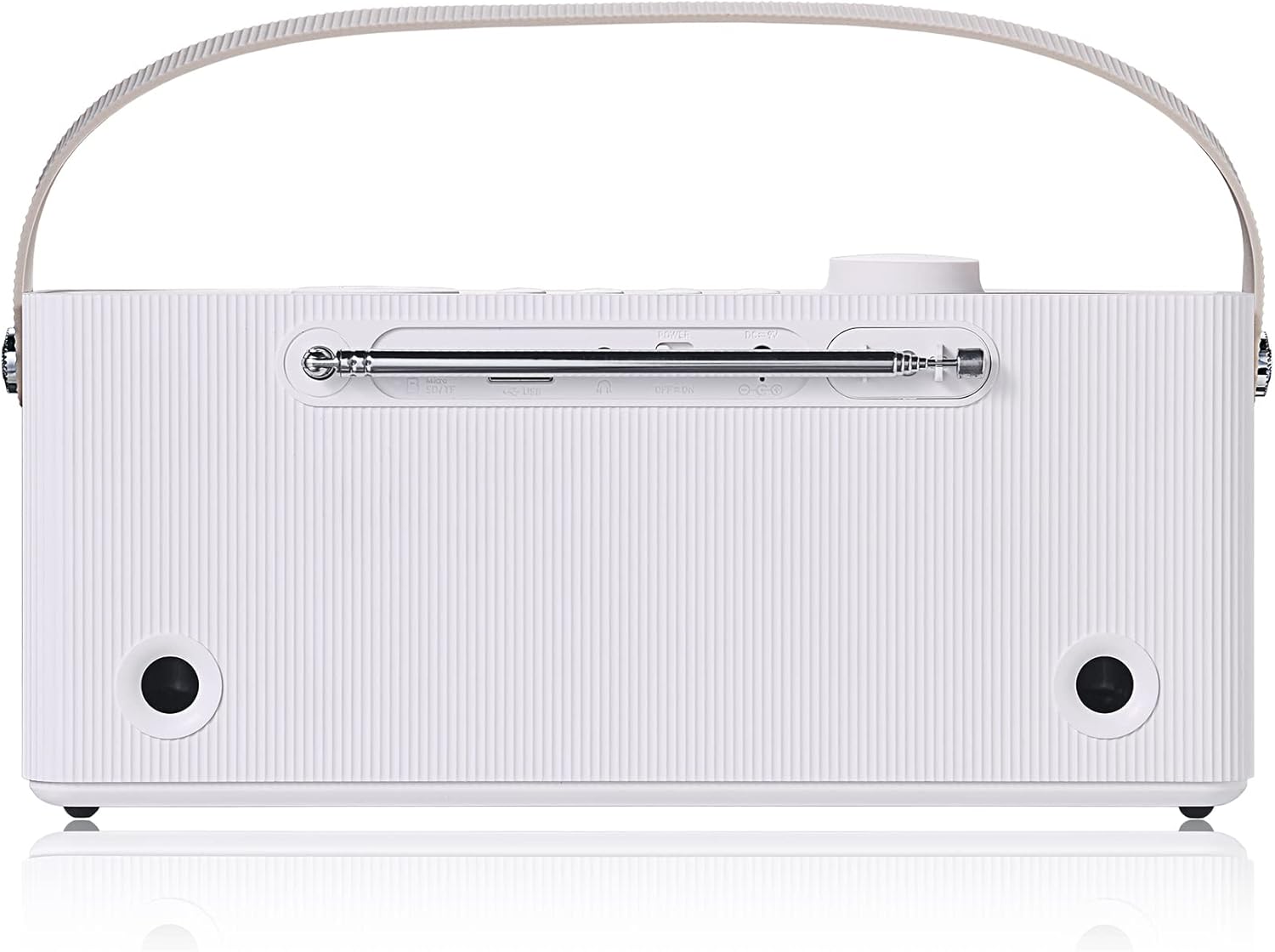 Roxel RDR-80 Digital Radio back view પોર્ટ સાથે