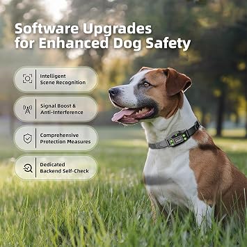 GPS Wireless Dog Fence Collar Kit, Electronic Pet Containment System with Boundary Flags, Training Guide, LCD Display