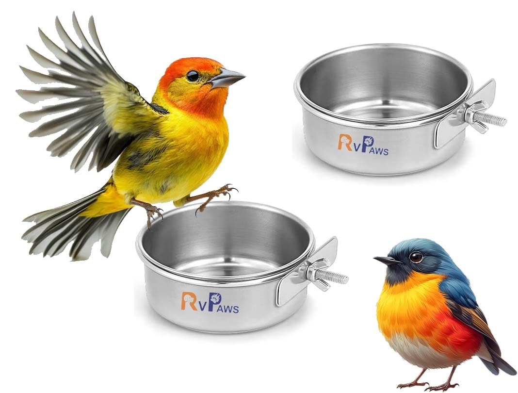 RvPaws Bird Feeding Dish Cups Parrot Food Bowl Clamp Holder Coop Cup, Bird Cage Water Bowl for Parakeet African Greys Conure Cockatiels Lovebird Budgie Chinchilla (X-Samll, 150ML)-image-35