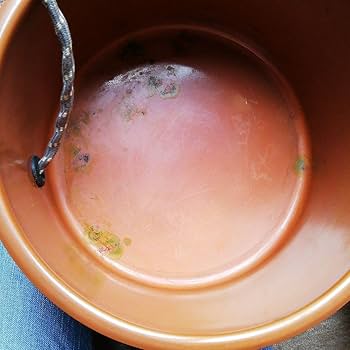 野点茶釜セット Amazon.co.jp: 野点茶釜セット : ホーム＆キッチン