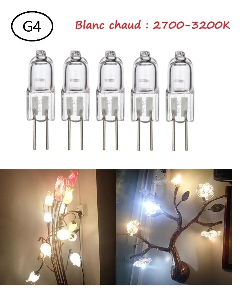 G4 Halogenlampen 6V 12V 24V 110V 230V, dimmbarer T3 JC Bi-Pin-Sockellampe, warmweiß für den Kronleuchter, Mikroskop-Laboroptikinstrumente (20 PC/230V-35W)