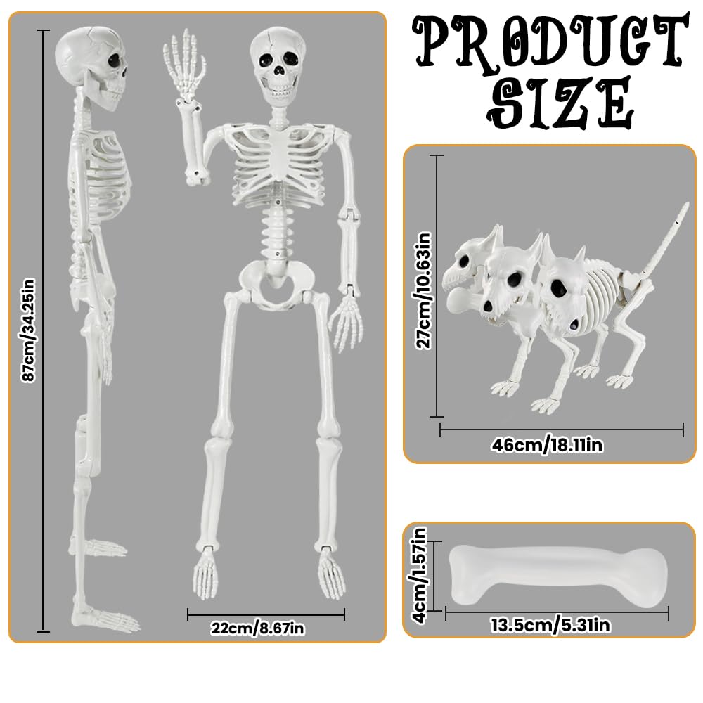 JOLCEEY 1 scheletro mobile per Halloween, 90 cm, realistico, ossa di scheletro umano, articolazioni mobili per tutto il corpo, con scheletro di cane a 3 teste, per oggetti di scena di Halloween