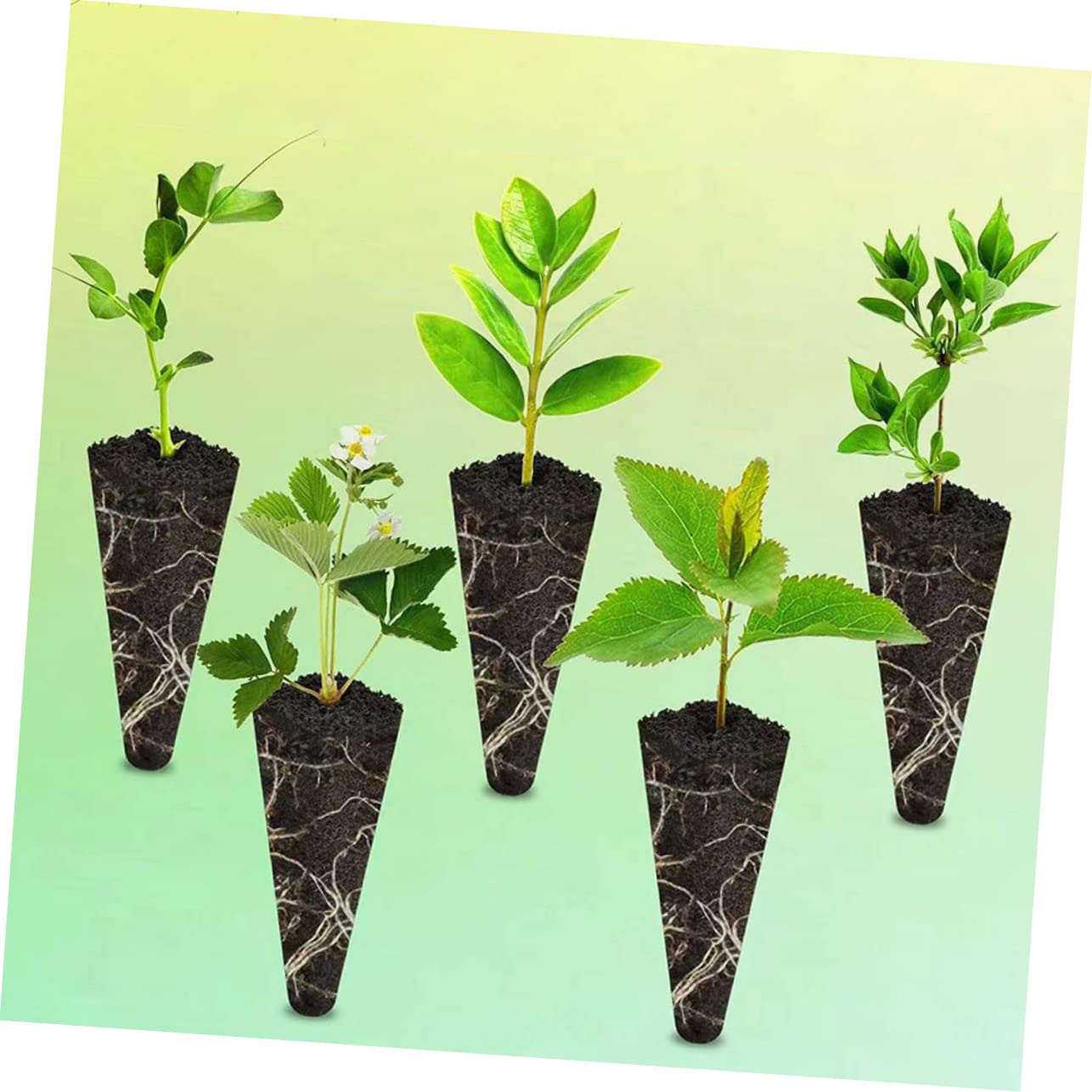 SUPVOX 150pièces Bloc De Culture De Plantes Accessoires De Sol pour Jardinières Et Hydroponie Substrat Nutrient pour Germination Et Rempotage pour Cultures Et Jardins Domestiques