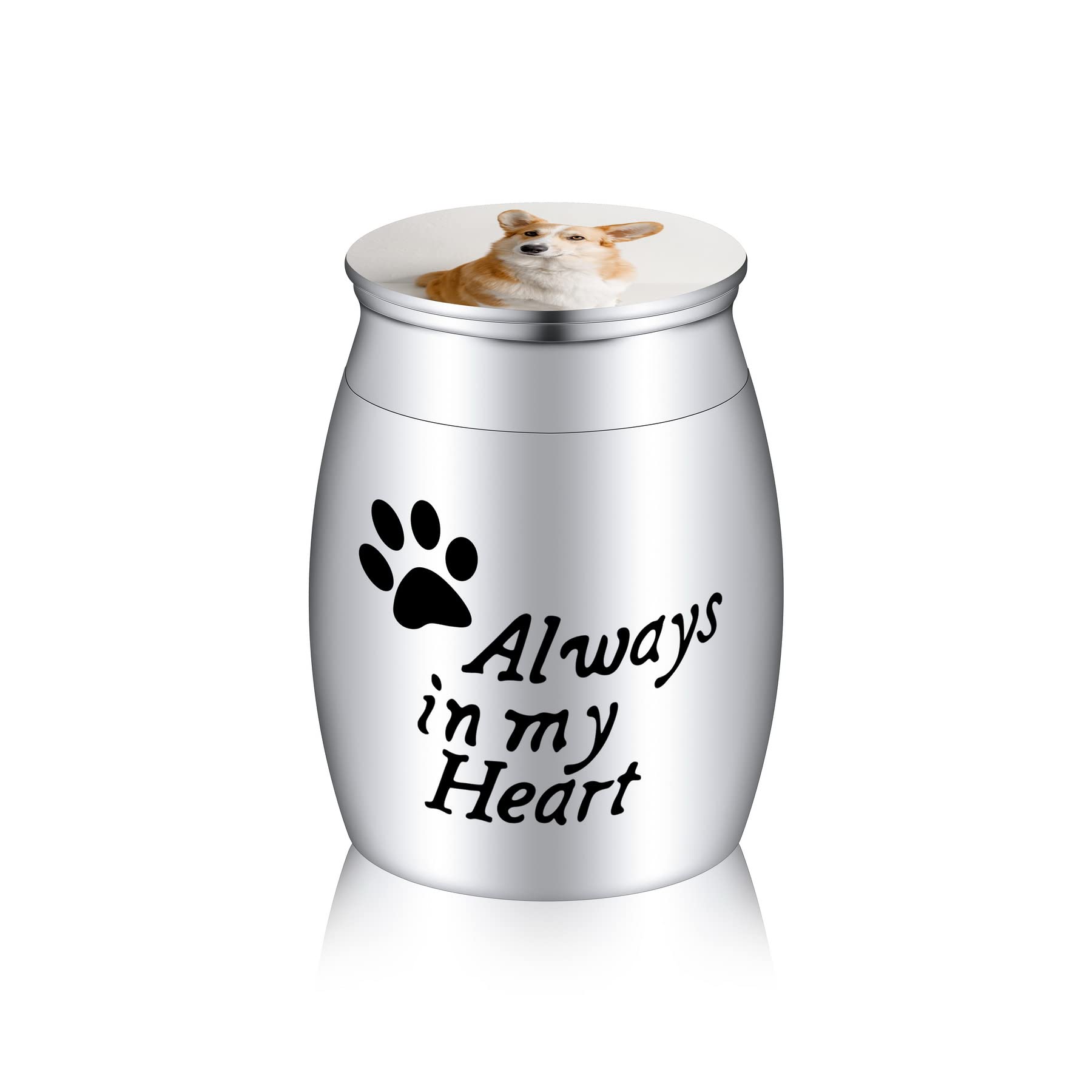 MeMeDIY Small Keepsake Urn for Human Ashes Mini Pet Cremation Urn Personalized Photo Birthstone Memorial Ashes Holder Stainless Steel Decorative Ashes Container (Silver, Black & White Photo, Always..)