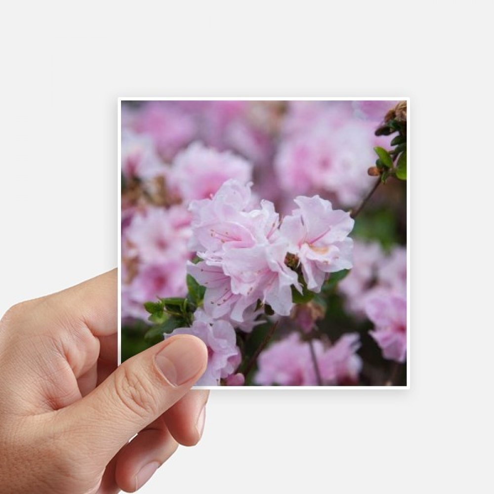 Autocollant multicolore de 10cm style belle fleurs rose pour personnalisation pc