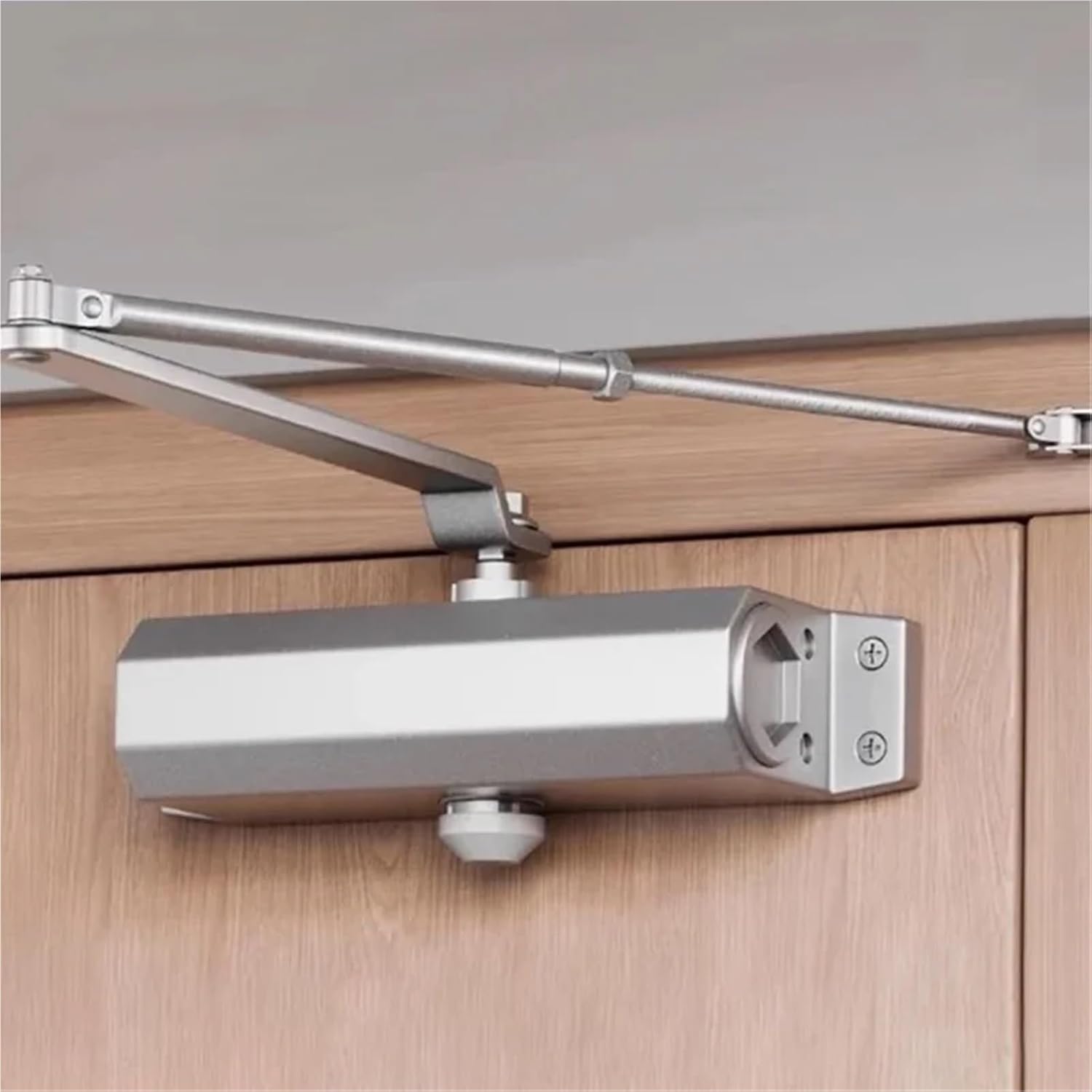 Hydraulic Buffer Door Closer 25KG to 80KG Adjustable Speed Door Closing Equipment Mute Soft Closing Door Hardware 1Pcs(Automatic Style-M)
