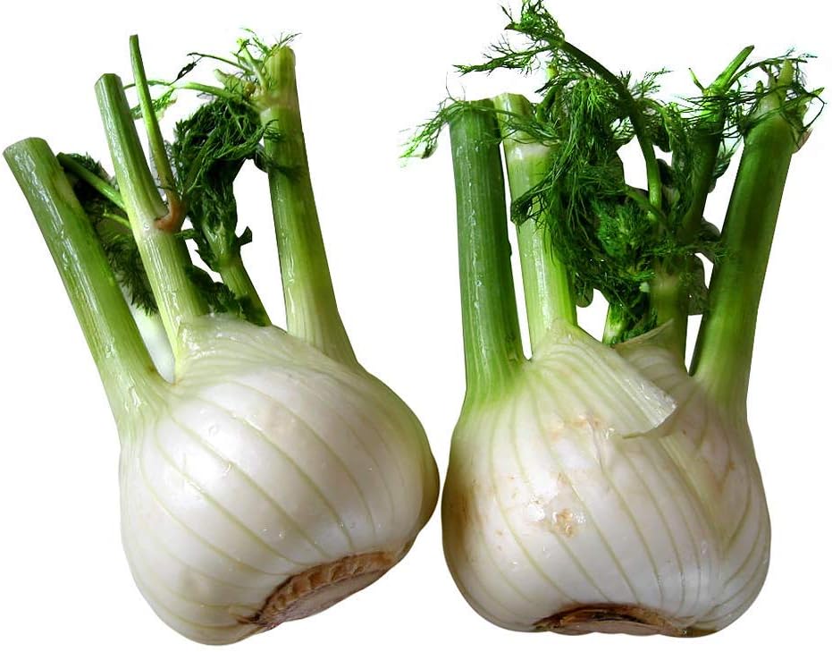 Brend Hot!!! Europe fragrant bulb fennel seeds organic vegetable 100seed