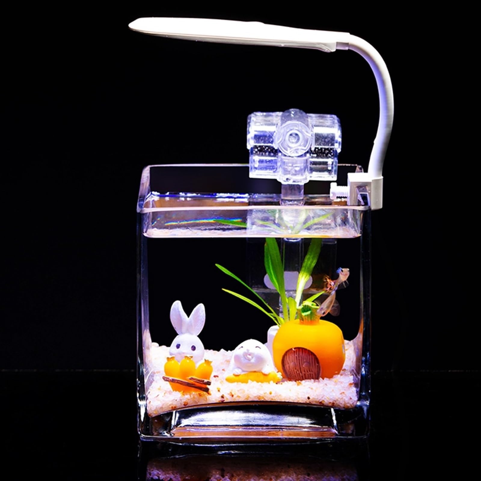 Süßwasserfische Quadratisches verdicktes Glas-Aquarium-Wohnzimmer-Desktop-Mini-Aquarium