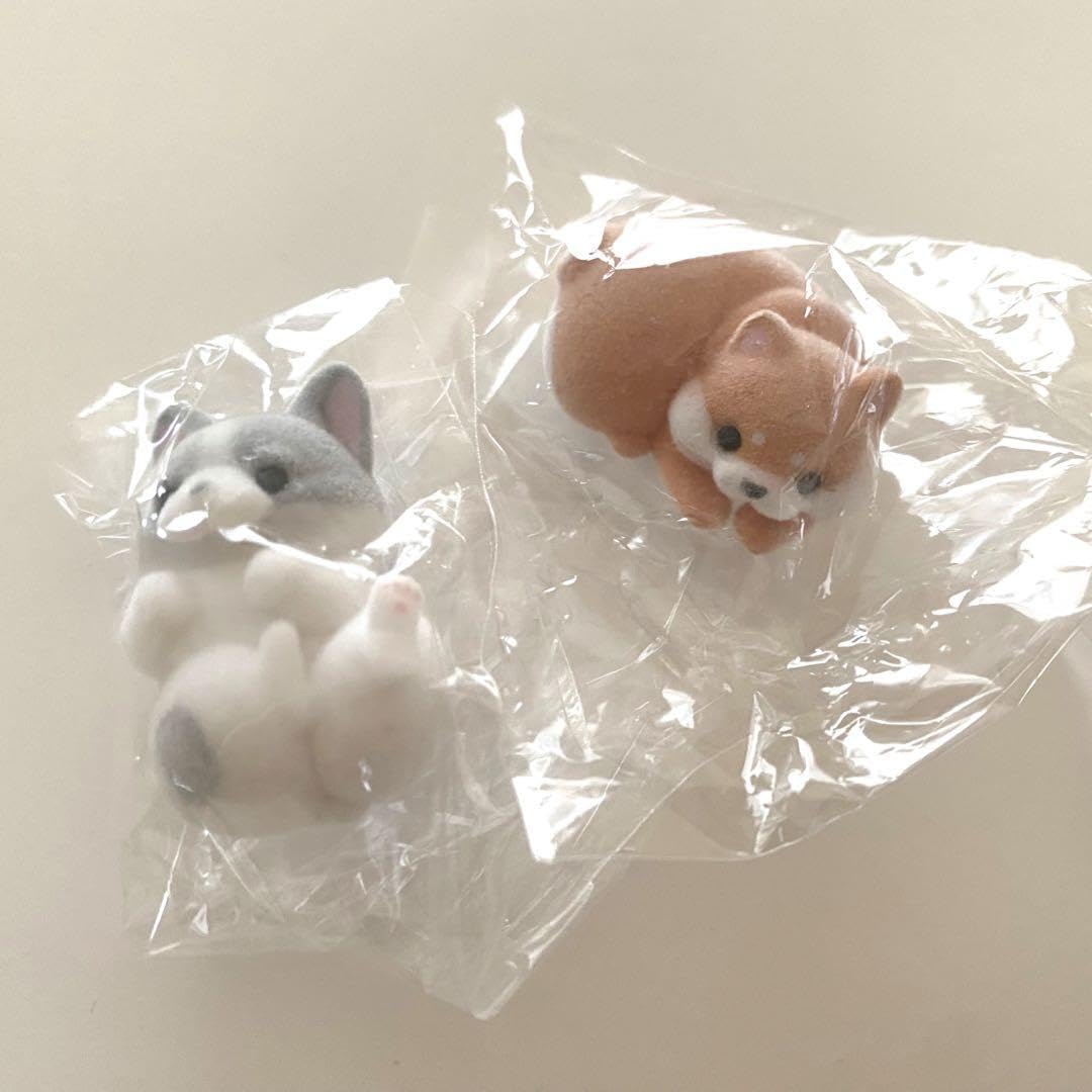 Cable Kajikajiwanko Freble Mameshiba