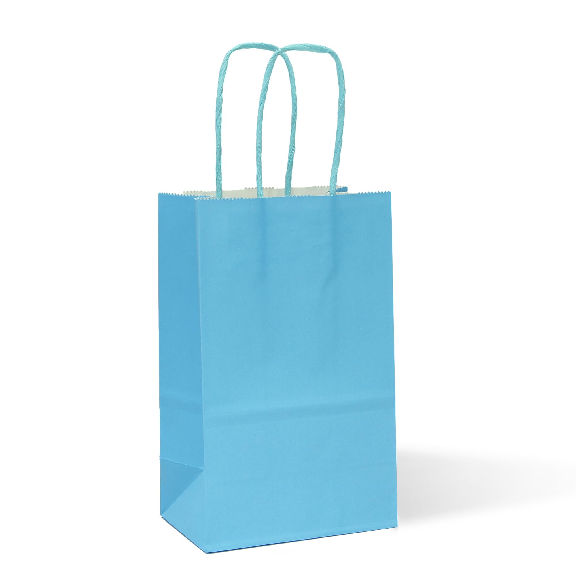 IN-JOOYAA 30 Pcs Light Blue Gift Bags Small Gift Bag with Handles 16x8x22cm