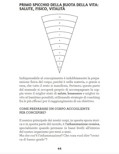 Viaggio Verso La Gravidanza. Dal Desiderio Al Concepimento. Il Journal - 4