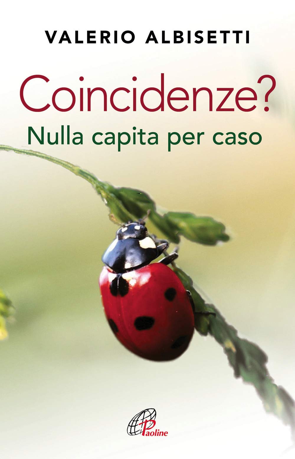 Coincidenze? Nulla Capita Per Caso - 4