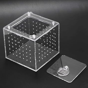 Sturdy Safety Lock Cover Snake breeding Box, 2MM Ventilation Hole breeding Box, Gecko Cricket Tarantula Snail Transparent