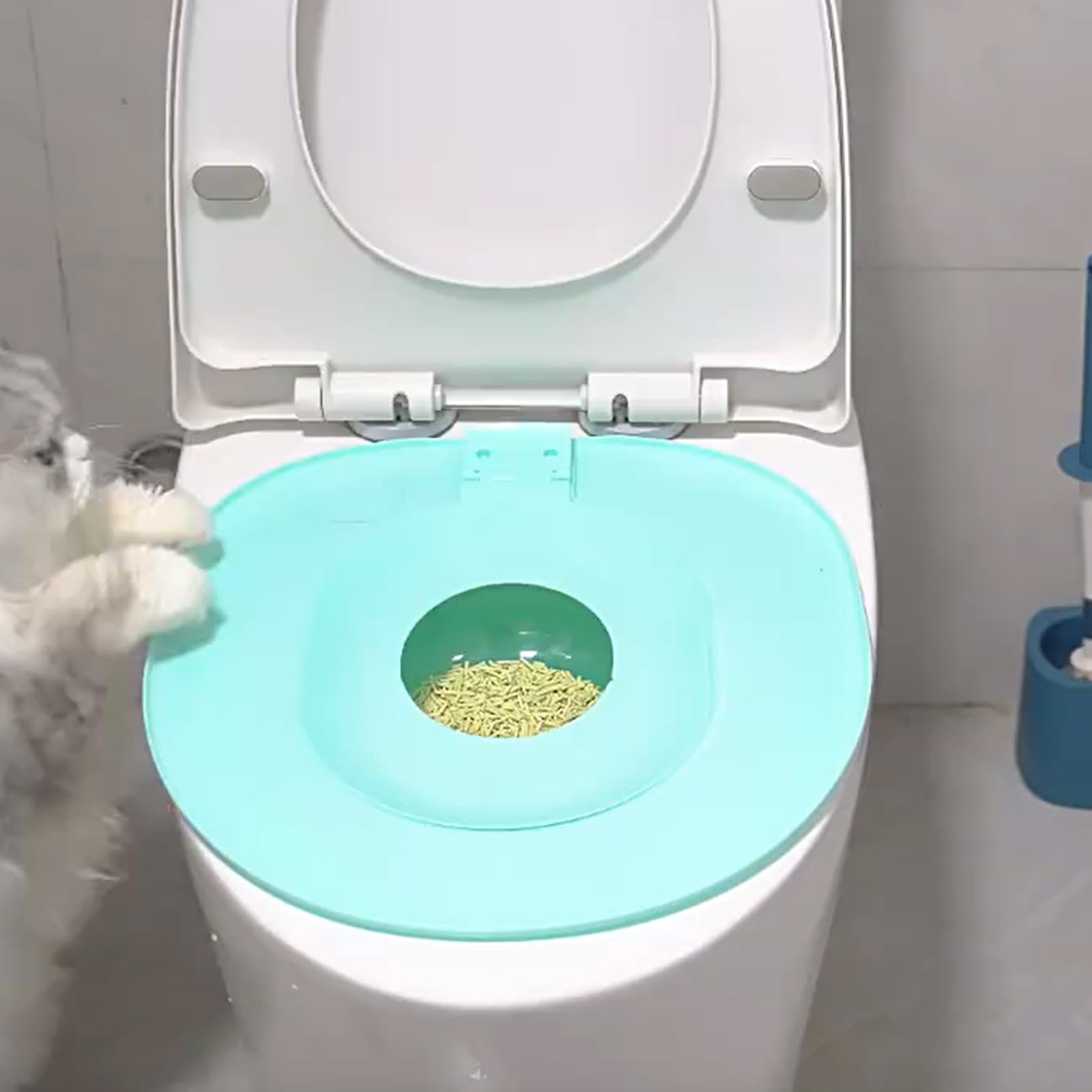 Toilet Letting Box Trainer - Kit Di Allenatore Per Gatti Per Gatti, Vasino Di Sedile Orinatoi Riutilizzabili | Allenatore Di Igiene Cat Per Per Animali Domestici, Strumento Di Allenamento Con
