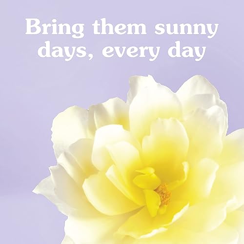 Miniatura 5 de Suavitel suavizante de tela sol de la mañana - 102 cargas pequeñas