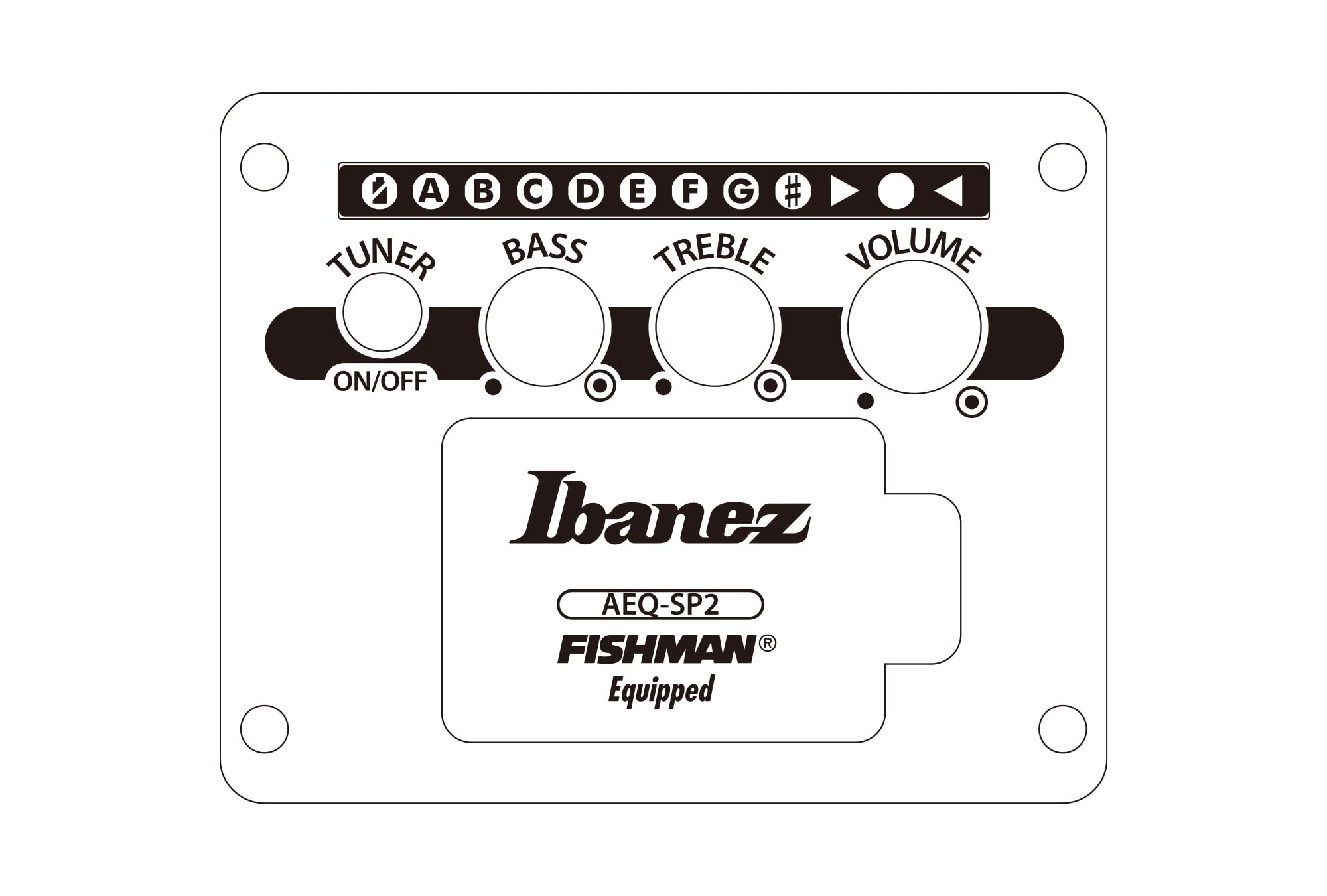 Ibanez AEWC400-TKS