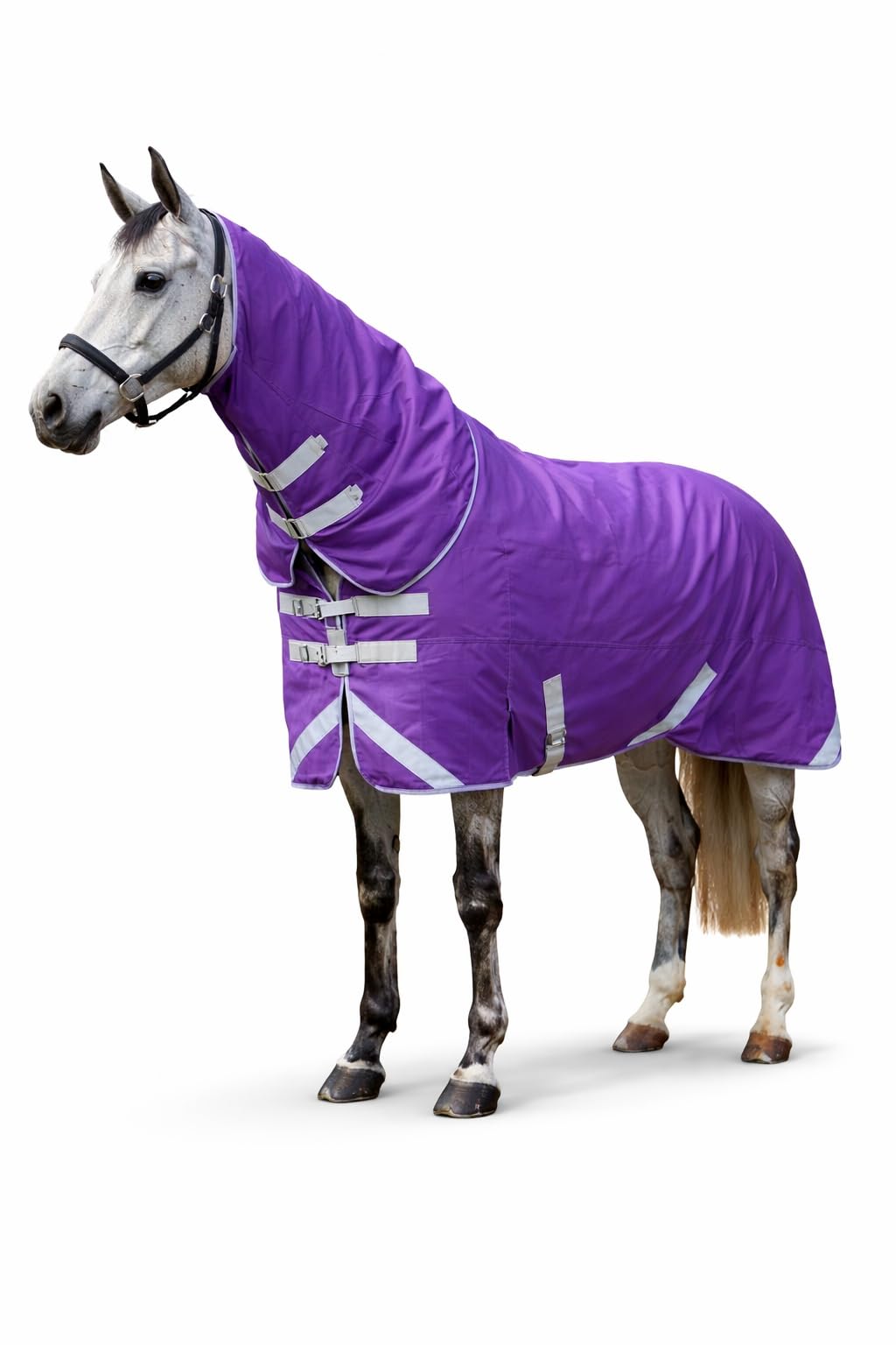Waterproof 200g 1200 Denier Ripstop Heavy Duty Turnout Rug Extra Deep with Detachable Neck (Purple, 6'9")