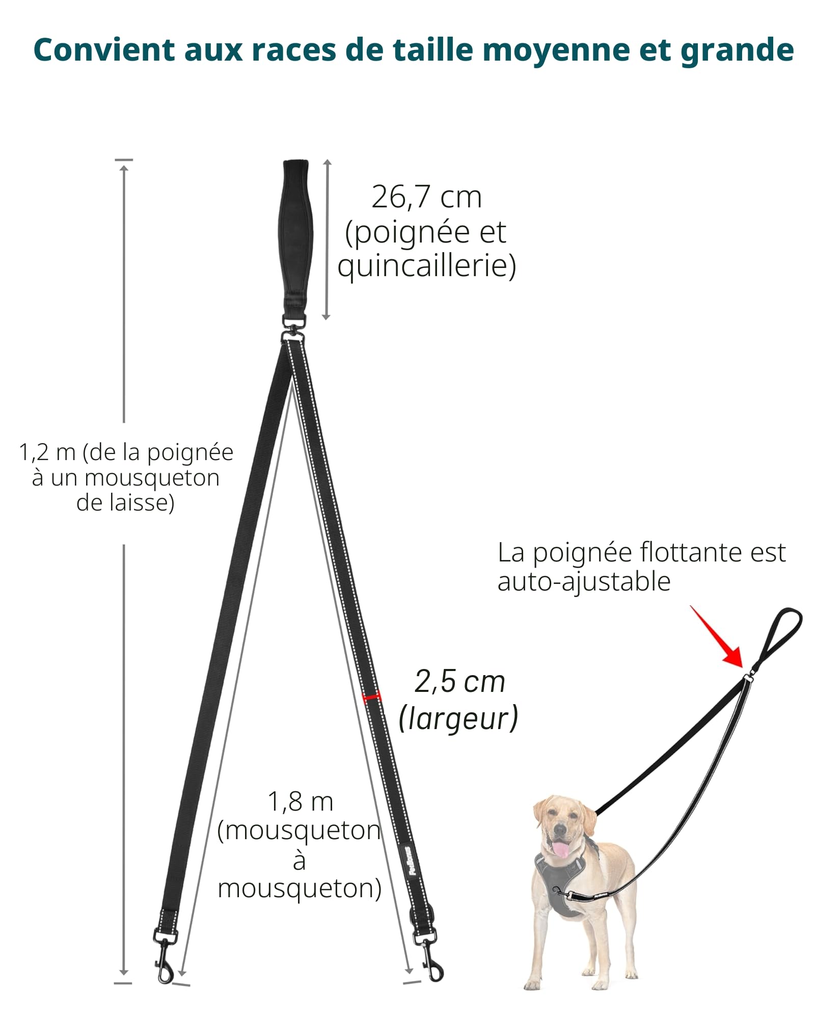 PetBonus Laisse Anti-Traction pour Chien, Double Laisse Anti-Traction réfléchissant, pour l'entraînement et la Marche, pour Chiens de Grande Taille et Moyenne (Noir)