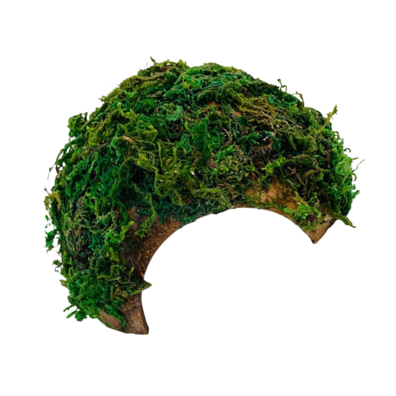 Toddmomy Pet Crawling Platform Green Lizard Hiding Cave Natural Terrarium Decor for Reptiles Lightweight Shelter for Pets for Bearded Dragons Geckos and Tortoises