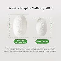 Vista 2 de THXSILK Edredón de seda de morera para todas las estaciones, 100% grado 7A, ropa de cama de seda larga natural, carcasa de algodón puro (blanco)